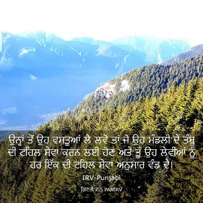 Picture 03 - ਗਿਣਤੀ 7:5 PANIRV - ਉਨ੍ਹਾਂ ਤੋਂ ਉਹ - Bible Verse Picture