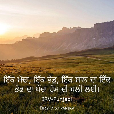 Picture 03 - ਗਿਣਤੀ 7:57 PANIRV - ਇੱਕ ਮੇਂਢਾ, ਇੱਕ - Bible Verse Picture