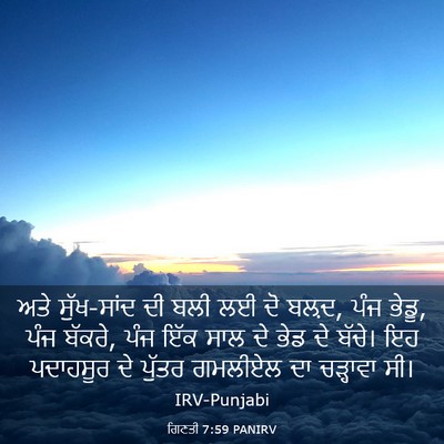 Picture 03 - ਗਿਣਤੀ 7:59 PANIRV - ਅਤੇ ਸੁੱਖ-ਸਾਂਦ ਦੀ - Bible Verse Picture