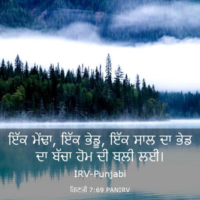 Picture 03 - ਗਿਣਤੀ 7:69 PANIRV - ਇੱਕ ਮੇਂਢਾ, ਇੱਕ - Bible Verse Picture