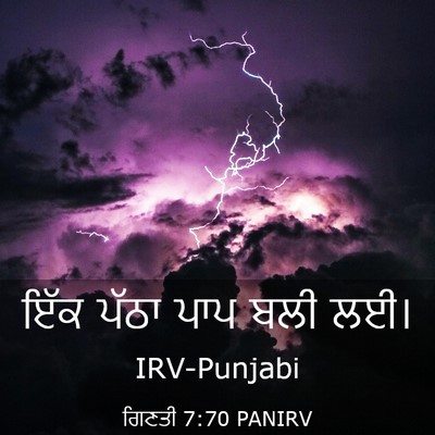 Picture 03 - ਗਿਣਤੀ 7:70 PANIRV - ਇੱਕ ਪੱਠਾ ਪਾਪ ਬਲੀ - Bible Verse Picture