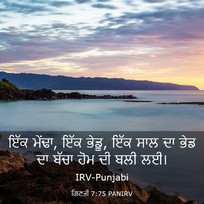 Picture 03 - ਗਿਣਤੀ 7:75 PANIRV - ਇੱਕ ਮੇਂਢਾ, ਇੱਕ - Bible Verse Picture