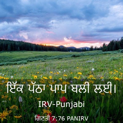 Picture 03 - ਗਿਣਤੀ 7:76 PANIRV - ਇੱਕ ਪੱਠਾ ਪਾਪ ਬਲੀ - Bible Verse Picture