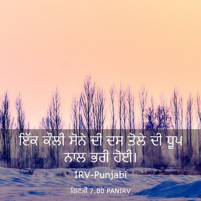 Picture 03 - ਗਿਣਤੀ 7:80 PANIRV - ਇੱਕ ਕੌਲੀ ਸੋਨੇ ਦੀ ਦਸ - Bible Verse Picture