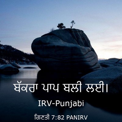 Picture 03 - ਗਿਣਤੀ 7:82 PANIRV - ਬੱਕਰਾ ਪਾਪ ਬਲੀ - Bible Verse Picture