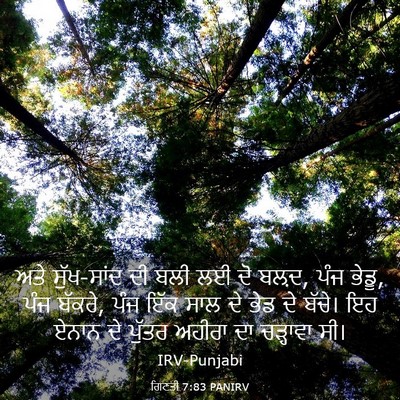 Picture 03 - ਗਿਣਤੀ 7:83 PANIRV - ਅਤੇ ਸੁੱਖ-ਸਾਂਦ ਦੀ - Bible Verse Picture