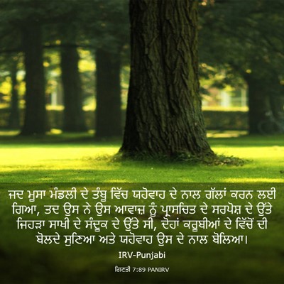 Picture 03 - ਗਿਣਤੀ 7:89 PANIRV - ਜਦ ਮੂਸਾ ਮੰਡਲੀ ਦੇ - Bible Verse Picture