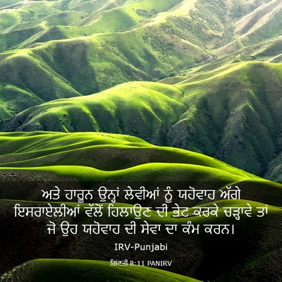 Picture 03 - ਗਿਣਤੀ 8:11 PANIRV - ਅਤੇ ਹਾਰੂਨ ਉਨ੍ਹਾਂ - Bible Verse Picture