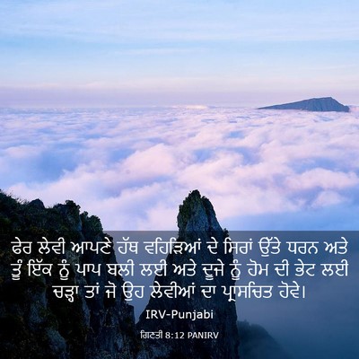 Picture 03 - ਗਿਣਤੀ 8:12 PANIRV - ਫੇਰ ਲੇਵੀ ਆਪਣੇ ਹੱਥ - Bible Verse Picture