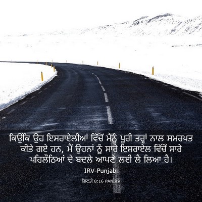 Picture 03 - ਗਿਣਤੀ 8:16 PANIRV - ਕਿਉਂਕਿ ਉਹ - Bible Verse Picture