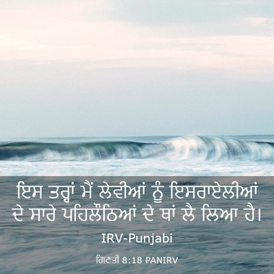 Picture 03 - ਗਿਣਤੀ 8:18 PANIRV - ਇਸ ਤਰ੍ਹਾਂ ਮੈਂ - Bible Verse Picture