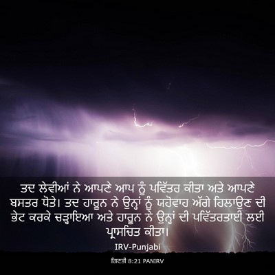 Picture 03 - ਗਿਣਤੀ 8:21 PANIRV - ਤਦ ਲੇਵੀਆਂ ਨੇ ਆਪਣੇ - Bible Verse Picture