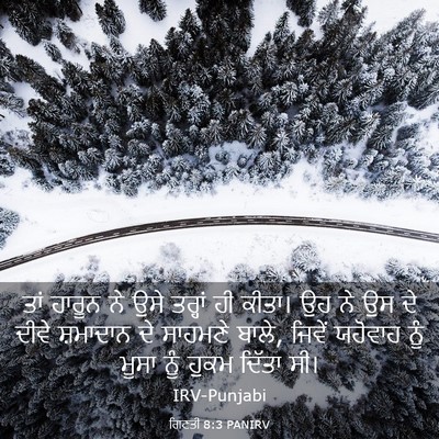 Picture 03 - ਗਿਣਤੀ 8:3 PANIRV - ਤਾਂ ਹਾਰੂਨ ਨੇ ਉਸੇ - Bible Verse Picture