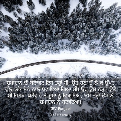 Picture 03 - ਗਿਣਤੀ 8:4 PANIRV - ਸ਼ਮਾਦਾਨ ਦੀ ਬਣਾਵਟ - Bible Verse Picture
