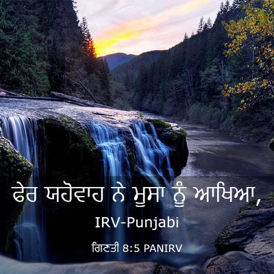 Picture 03 - ਗਿਣਤੀ 8:5 PANIRV - ਫੇਰ ਯਹੋਵਾਹ ਨੇ ਮੂਸਾ - Bible Verse Picture