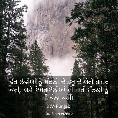 Picture 03 - ਗਿਣਤੀ 8:9 PANIRV - ਫੇਰ ਲੇਵੀਆਂ ਨੂੰ - Bible Verse Picture