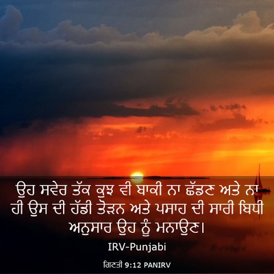 Picture 03 - ਗਿਣਤੀ 9:12 PANIRV - ਉਹ ਸਵੇਰ ਤੱਕ ਕੁਝ ਵੀ - Bible Verse Picture