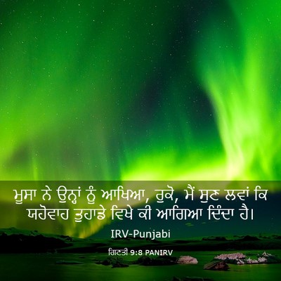 Picture 03 - ਗਿਣਤੀ 9:8 PANIRV - ਮੂਸਾ ਨੇ ਉਨ੍ਹਾਂ ਨੂੰ - Bible Verse Picture