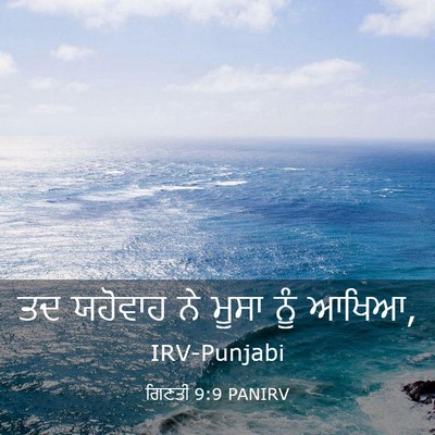 Picture 03 - ਗਿਣਤੀ 9:9 PANIRV - ਤਦ ਯਹੋਵਾਹ ਨੇ ਮੂਸਾ - Bible Verse Picture