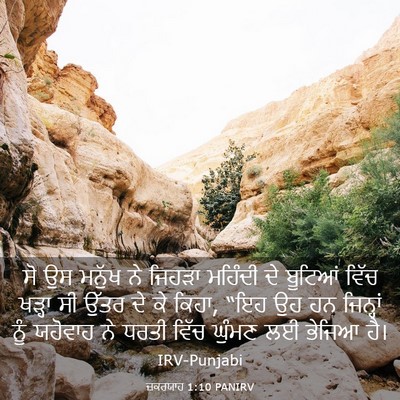 Picture 03 - ਜ਼ਕਰਯਾਹ 1:10 PANIRV - ਸੋ ਉਸ ਮਨੁੱਖ ਨੇ - Bible Verse Picture