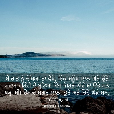 Picture 03 - ਜ਼ਕਰਯਾਹ 1:8 PANIRV - ਮੈਂ ਰਾਤ ਨੂੰ ਦੇਖਿਆ - Bible Verse Picture