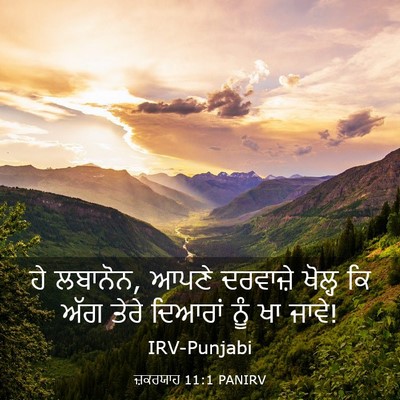 Picture 03 - ਜ਼ਕਰਯਾਹ 11:1 PANIRV - ਹੇ ਲਬਾਨੋਨ, ਆਪਣੇ - Bible Verse Picture