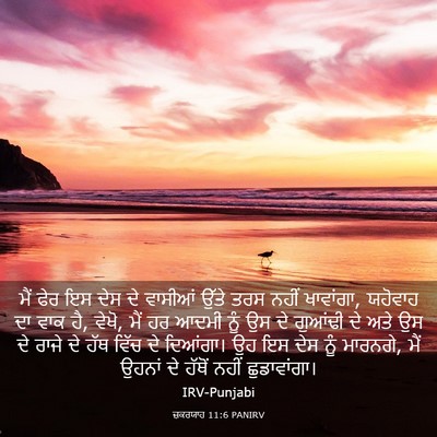 Picture 03 - ਜ਼ਕਰਯਾਹ 11:6 PANIRV - ਮੈਂ ਫੇਰ ਇਸ ਦੇਸ ਦੇ - Bible Verse Picture