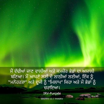 Picture 03 - ਜ਼ਕਰਯਾਹ 11:7 PANIRV - ਮੈਂ ਵੱਢੀਆਂ ਜਾਣ - Bible Verse Picture