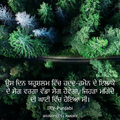 Picture 03 - ਜ਼ਕਰਯਾਹ 12:11 PANIRV - ਉਸ ਦਿਨ ਯਰੂਸ਼ਲਮ - Bible Verse Picture