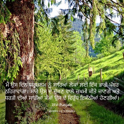 Picture 03 - ਜ਼ਕਰਯਾਹ 12:3 PANIRV - ਮੈਂ ਉਸ ਦਿਨ ਯਰੂਸ਼ਲਮ - Bible Verse Picture