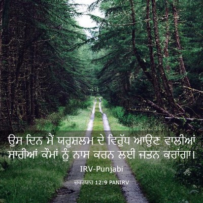 Picture 03 - ਜ਼ਕਰਯਾਹ 12:9 PANIRV - ਉਸ ਦਿਨ ਮੈਂ ਯਰੂਸ਼ਲਮ - Bible Verse Picture