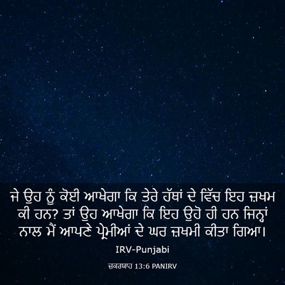Picture 03 - ਜ਼ਕਰਯਾਹ 13:6 PANIRV - ਜੇ ਉਹ ਨੂੰ ਕੋਈ ਆਖੇਗਾ - Bible Verse Picture