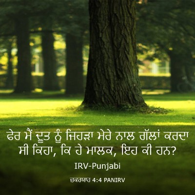 Picture 03 - ਜ਼ਕਰਯਾਹ 4:4 PANIRV - ਫੇਰ ਮੈਂ ਦੂਤ ਨੂੰ - Bible Verse Picture