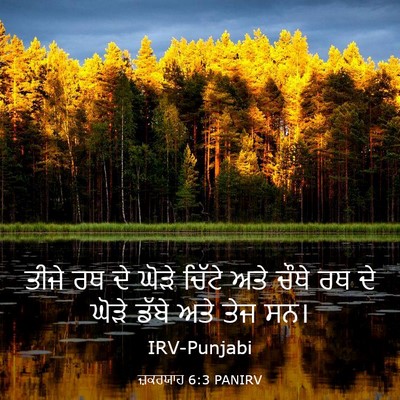 Picture 03 - ਜ਼ਕਰਯਾਹ 6:3 PANIRV - ਤੀਜੇ ਰਥ ਦੇ ਘੋੜੇ - Bible Verse Picture