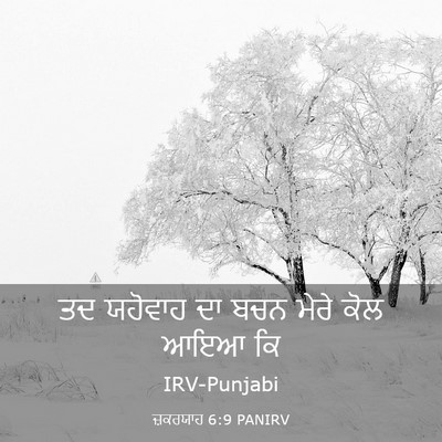 Picture 03 - ਜ਼ਕਰਯਾਹ 6:9 PANIRV - ਤਦ ਯਹੋਵਾਹ ਦਾ ਬਚਨ - Bible Verse Picture