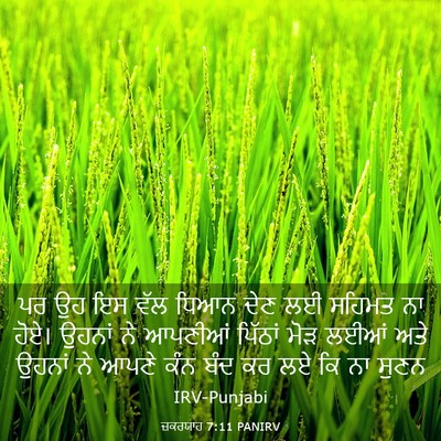 Picture 03 - ਜ਼ਕਰਯਾਹ 7:11 PANIRV - ਪਰ ਉਹ ਇਸ ਵੱਲ ਧਿਆਨ - Bible Verse Picture