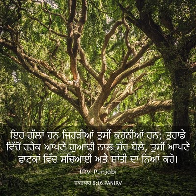 Picture 03 - ਜ਼ਕਰਯਾਹ 8:16 PANIRV - ਇਹ ਗੱਲਾਂ ਹਨ - Bible Verse Picture
