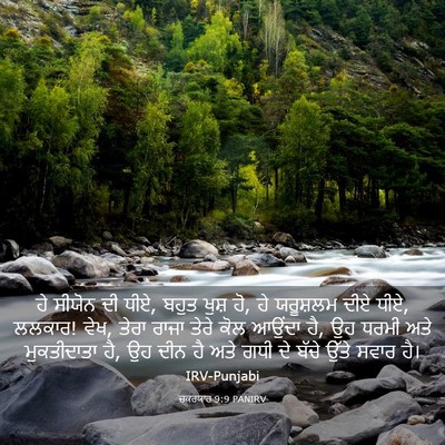 Picture 03 - ਜ਼ਕਰਯਾਹ 9:9 PANIRV - ਹੇ ਸੀਯੋਨ ਦੀ ਧੀਏ, - Bible Verse Picture