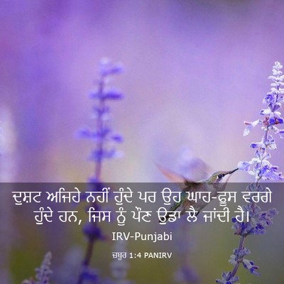 Picture 03 - ਜ਼ਬੂਰ 1:4 PANIRV - ਦੁਸ਼ਟ ਅਜਿਹੇ ਨਹੀਂ - Bible Verse Picture