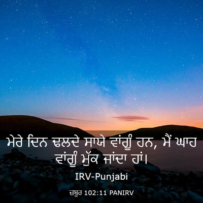 Picture 03 - ਜ਼ਬੂਰ 102:11 PANIRV - ਮੇਰੇ ਦਿਨ ਢਲਦੇ ਸਾਯੇ - Bible Verse Picture