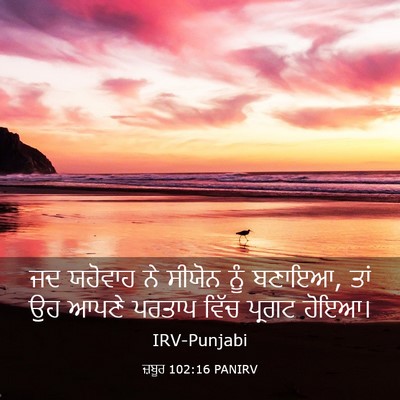 Picture 03 - ਜ਼ਬੂਰ 102:16 PANIRV - ਜਦ ਯਹੋਵਾਹ ਨੇ ਸੀਯੋਨ - Bible Verse Picture