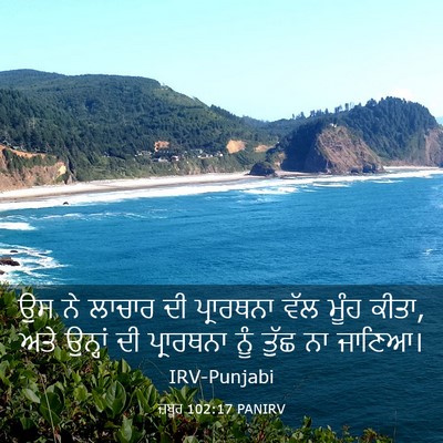 Picture 03 - ਜ਼ਬੂਰ 102:17 PANIRV - ਉਸ ਨੇ ਲਾਚਾਰ ਦੀ - Bible Verse Picture