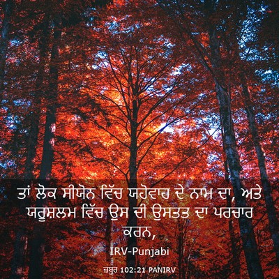Picture 03 - ਜ਼ਬੂਰ 102:21 PANIRV - ਤਾਂ ਲੋਕ ਸੀਯੋਨ ਵਿੱਚ - Bible Verse Picture