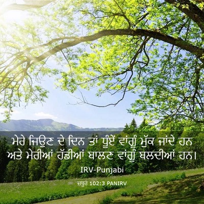 Picture 03 - ਜ਼ਬੂਰ 102:3 PANIRV - ਮੇਰੇ ਜਿਉਣ ਦੇ ਦਿਨ - Bible Verse Picture