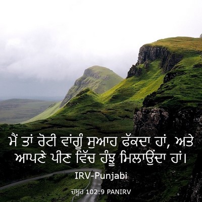 Picture 03 - ਜ਼ਬੂਰ 102:9 PANIRV - ਮੈਂ ਤਾਂ ਰੋਟੀ - Bible Verse Picture
