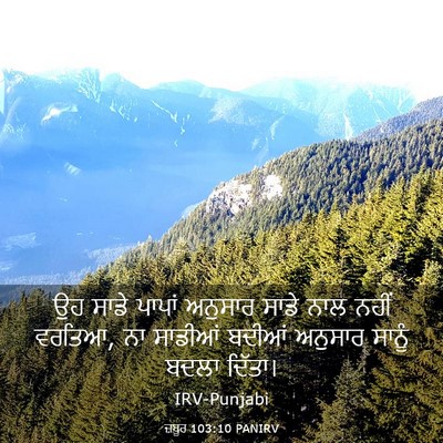 Picture 03 - ਜ਼ਬੂਰ 103:10 PANIRV - ਉਹ ਸਾਡੇ ਪਾਪਾਂ - Bible Verse Picture