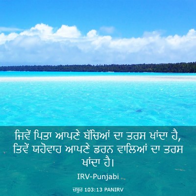 Picture 03 - ਜ਼ਬੂਰ 103:13 PANIRV - ਜਿਵੇਂ ਪਿਤਾ ਆਪਣੇ - Bible Verse Picture