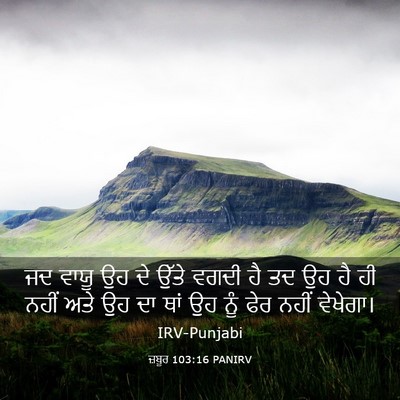 Picture 03 - ਜ਼ਬੂਰ 103:16 PANIRV - ਜਦ ਵਾਯੂ ਉਹ ਦੇ ਉੱਤੇ - Bible Verse Picture