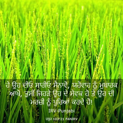 Picture 03 - ਜ਼ਬੂਰ 103:21 PANIRV - ਹੇ ਉਹ ਦੀਓ ਸਾਰੀਓ - Bible Verse Picture