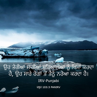 Picture 03 - ਜ਼ਬੂਰ 103:3 PANIRV - ਉਹ ਤੇਰੀਆਂ ਸਾਰੀਆਂ - Bible Verse Picture